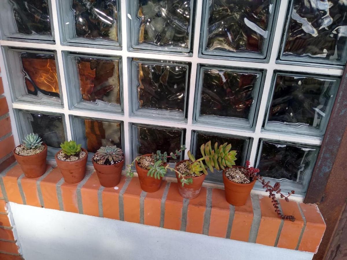 Pousada Hortensias Douradas Canela Ngoại thất bức ảnh